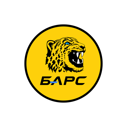 Партнер 6